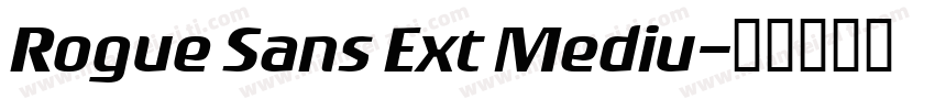 Rogue Sans Ext Mediu字体转换